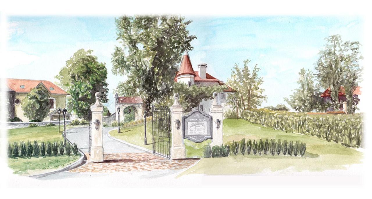 Chateau Brachet Grésy-sur-Aix Esterno foto